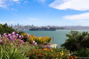 San Francisco things to do