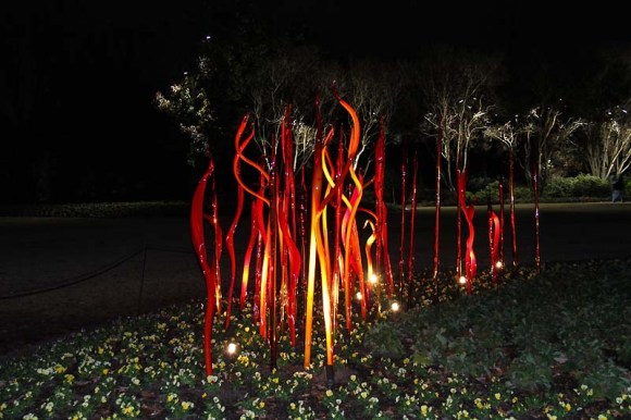Chihuly Exhibit, Dallas Arboretum