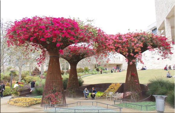 Getty Museum Gardens