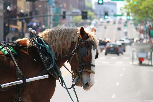 Nashville carriage