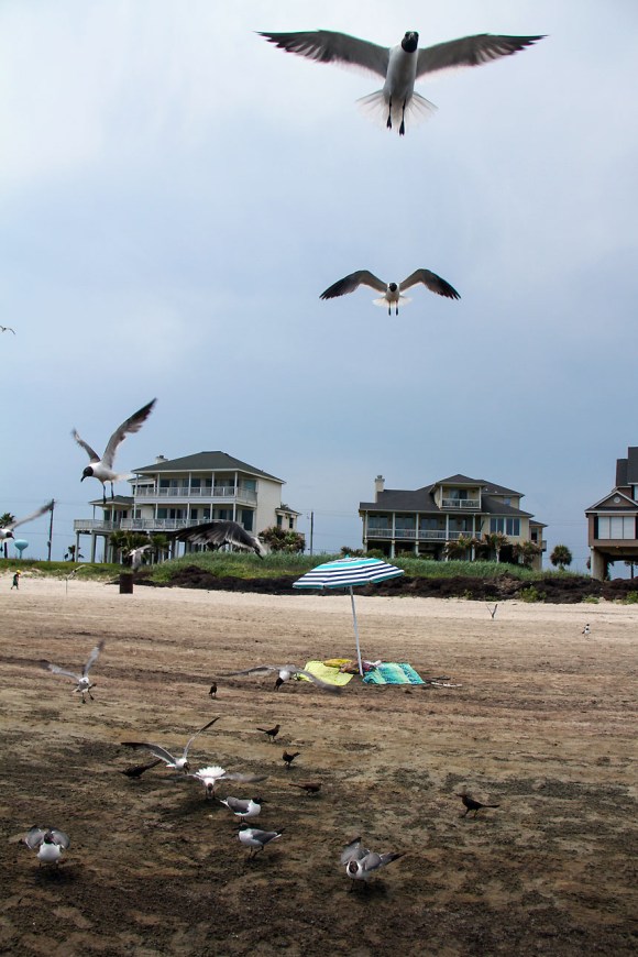 Texas beach, lonely umbrella