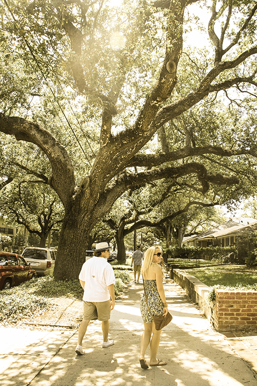 New Orleans Sight Seeing