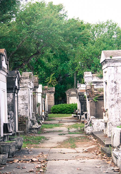 New Orleans Cemetery