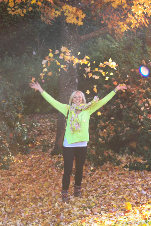 sonoma wineries in the fall