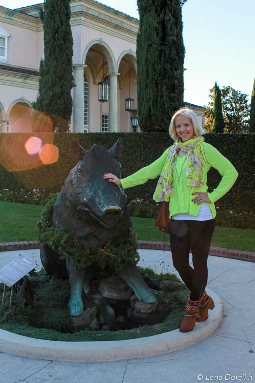 sonoma wineries in the fall