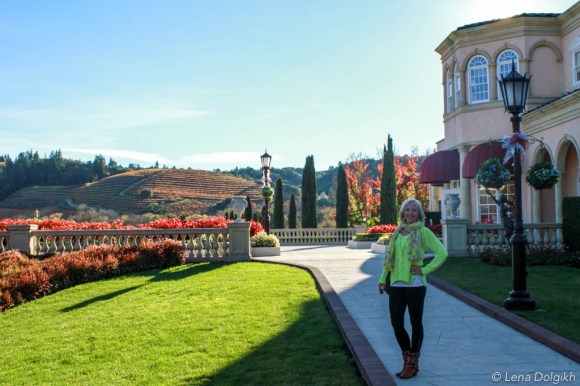 sonoma wineries