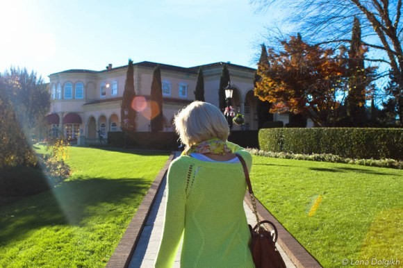 Sonoma wineries in the fall