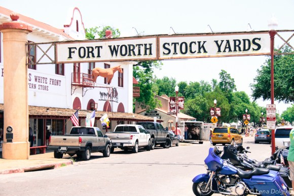 Fort Worth Sightseeing