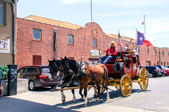 Fort Worth Sightseeing