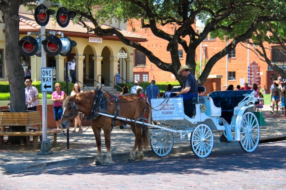 Fort Worth Sightseeing