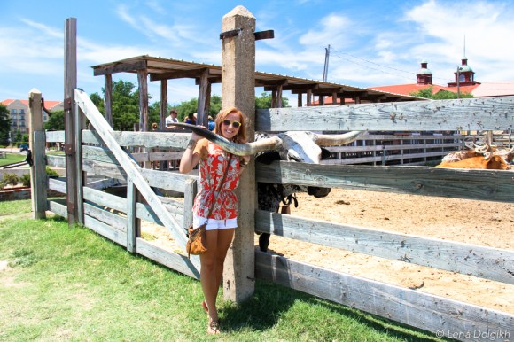 Fort Worth Sightseeing