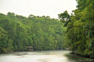 Caddo Lake