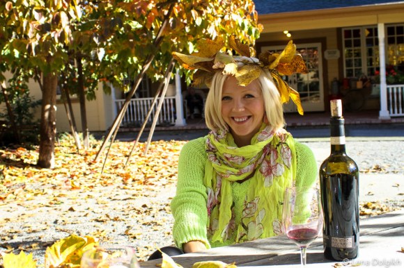visit Sonoma in the fall