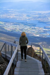 Totally worth the winding drive up!